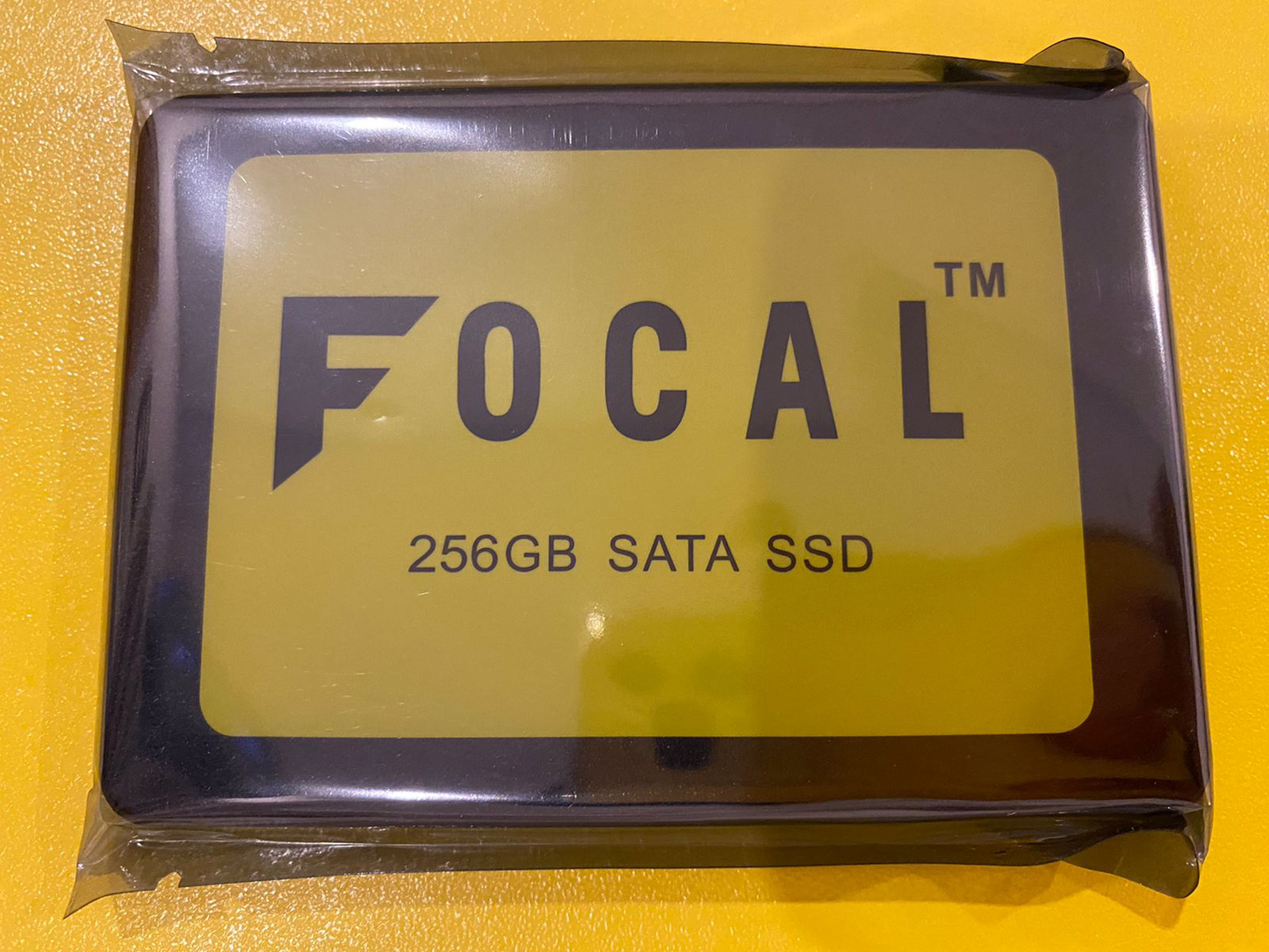 FOCAL 256GB SATA SSD